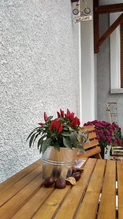 B Apartments - Bike Apartment Timisoara Luaran gambar